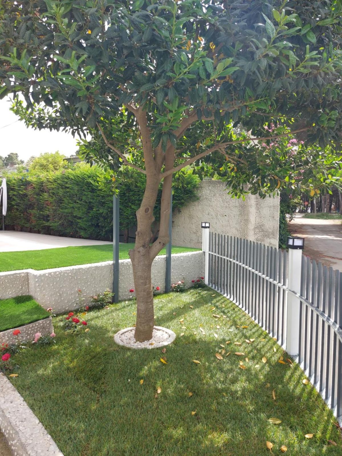 Vila Green Relax Вльора Екстер'єр фото